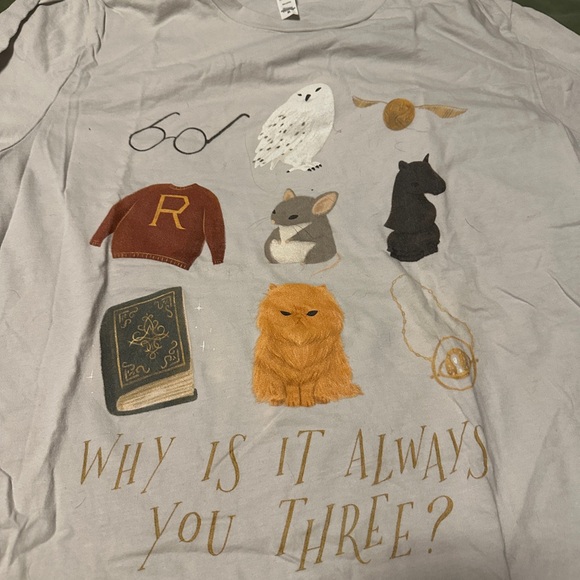 Common Room Harry Potter Tshirt - Picture 1 of 4